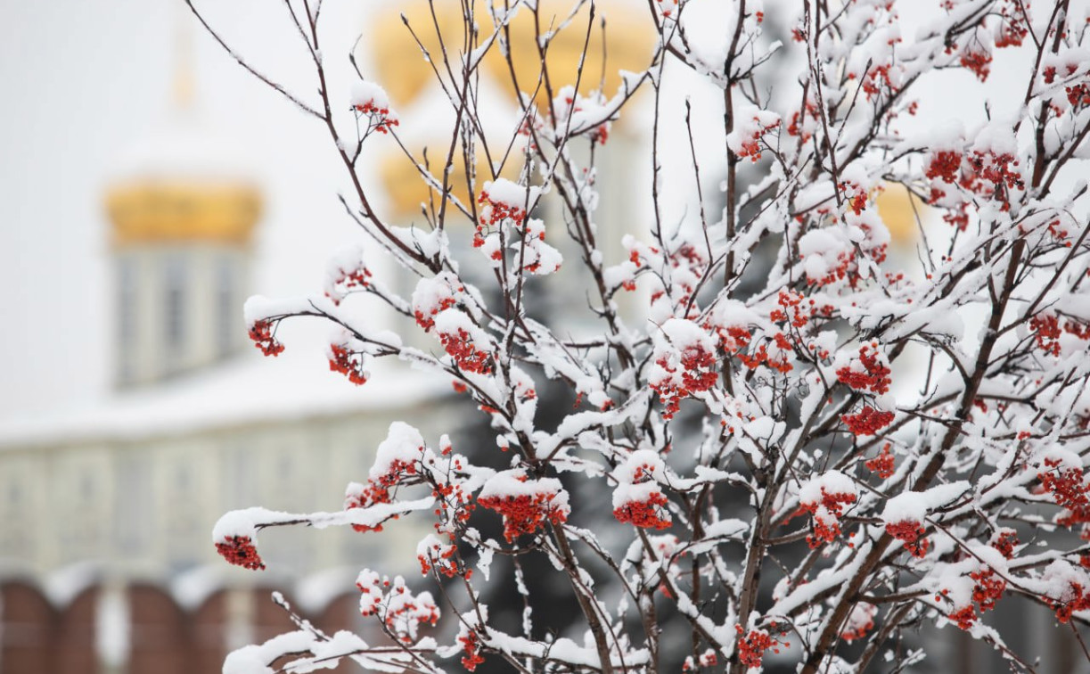 Погода в Туле 22 декабря: снег и до -3