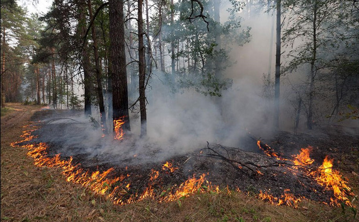 В Тульской области сохраняется чрезвычайная пожароопасность