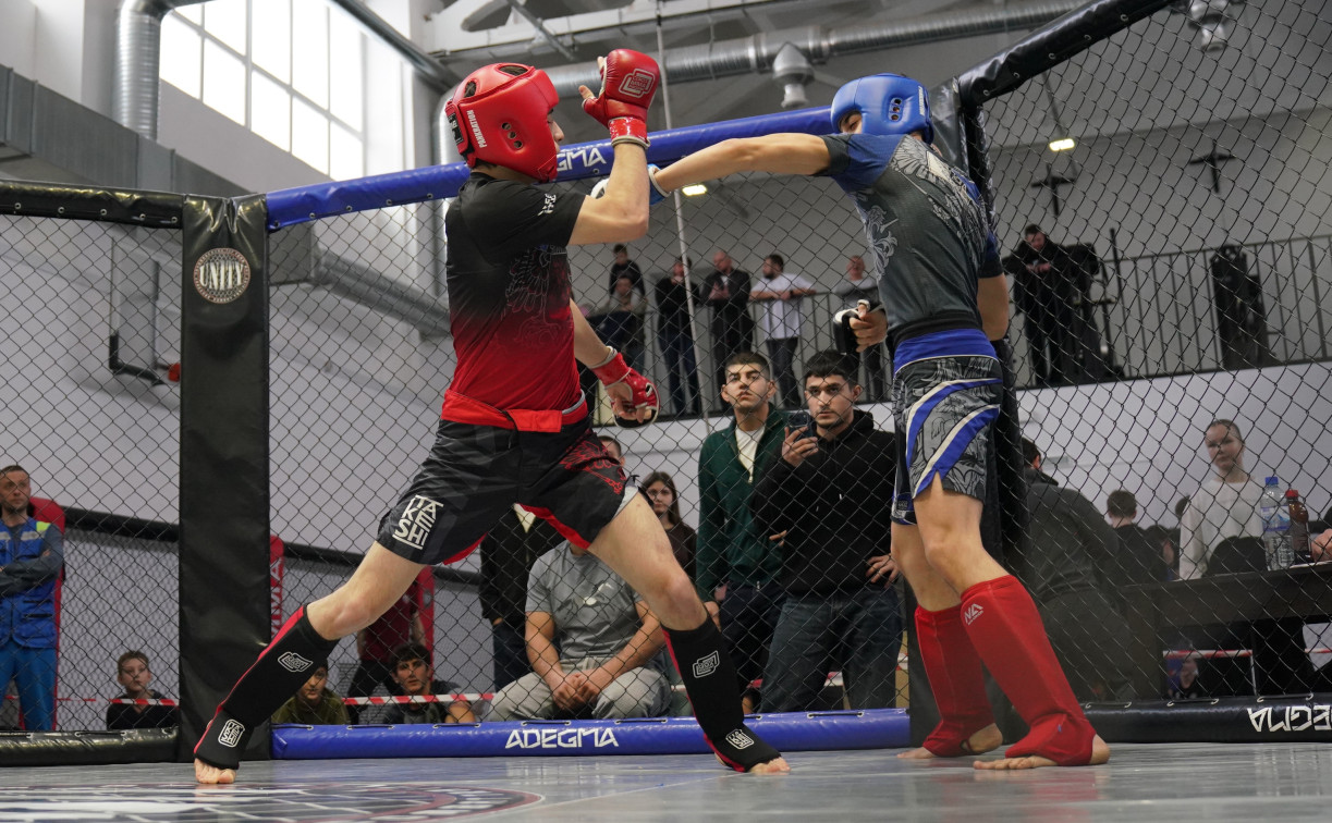 В Новомосковске прошел Чемпионат и Первенство Тульской области по ММА