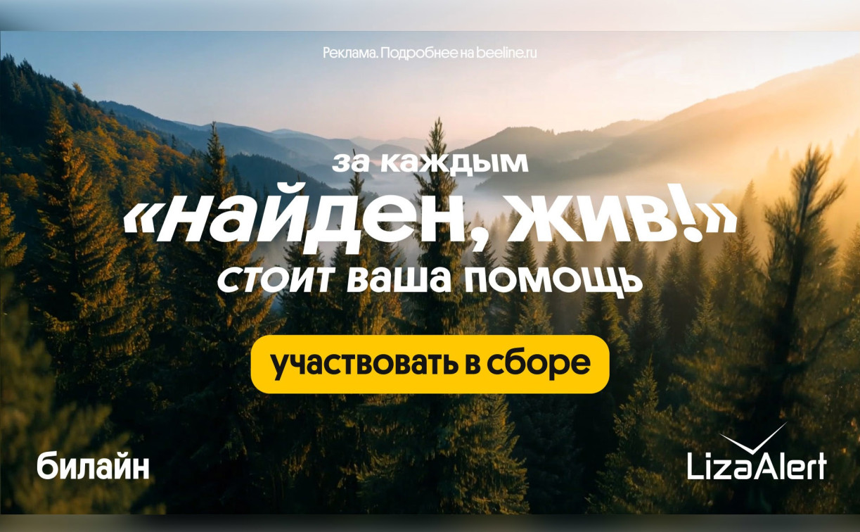 В 2025 году спасательный отряд «ЛизаАлерт» при поддержке Билайн нашел и спас 531 пропавшего туляка