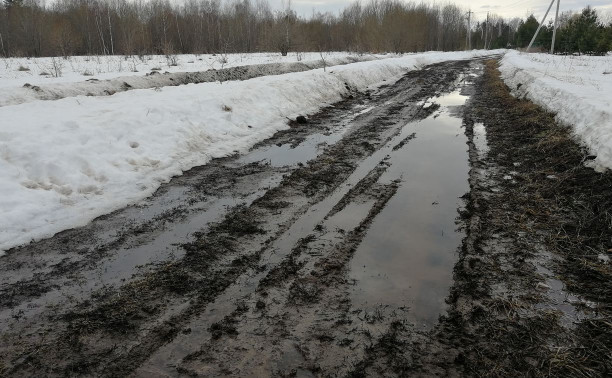 Жители д. Даниловское: «Из-за размытой дороги мы утонем в мусоре»