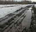 Жители д. Даниловское: «Из-за размытой дороги мы утонем в мусоре»