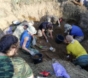 В Тульской области поисковики обнаружили массовое захоронение солдат и расшифровали смертный медальон