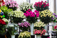 Ассортимент тульских цветочных магазинов. 28.02.2015, Фото: 62