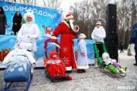 Открытие елки на площади искусств. 19.12.2014, Фото: 23