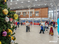 Фестиваль «Шар-папье»: Тульский кремль украсили огромные новогодние бусы, Фото: 23