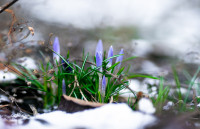 Весна идет!, Фото: 26