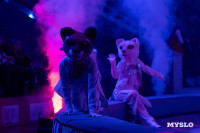 Цирковое шоу Жар птица, Фото: 29