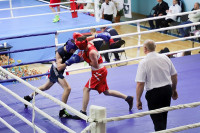 В Туле завершился межрегиональный турнир по боксу памяти Романа Жабарова, Фото: 30