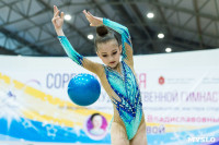 Тула провела крупный турнир по художественной гимнастике, Фото: 175