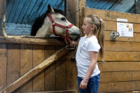 А пони тоже кони: 9-летняя тулячка – числе лучших в конном спорте по выездке, Фото: 5
