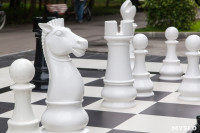 "Большие шахматы" в Центральном парке, Фото: 8
