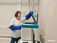 Тульские онкологи рассказали, как трансплантацией стволовых клеток лечат лейкоз, миеломы и лимфомы, Фото: 8