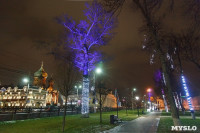 Украшение парка к Новому году, 15.12.2015 , Фото: 43