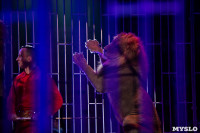 Шоу фонтанов «13 месяцев»: успей увидеть уникальную программу в Тульском цирке, Фото: 235