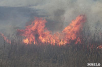 В Мясново загорелось поле, Фото: 14