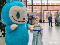 Фестиваль «Шар-папье»: Тульский кремль украсили огромные новогодние бусы, Фото: 66