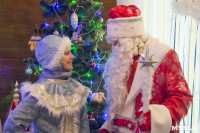 В Туле открылась резиденция Деда Мороза, Фото: 46