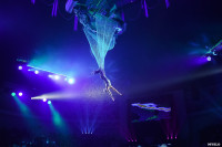 Шоу Гии Эрадзе «5 континентов» в Тульском цирке: феерия уже началась!, Фото: 64
