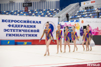 Соревнования по эстетической гимнастике «Кубок Роксэт», Фото: 84
