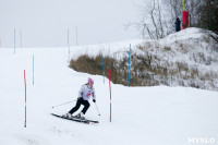 I-й этап Кубка Тулы по горным лыжам и сноуборду., Фото: 29