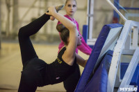 Всероссийский турнир по художественной гимнастике, Фото: 42