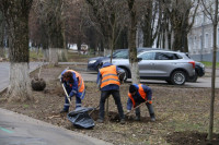 Вдоль веломаршрута «Лев Толстой» начали высаживать липы, Фото: 7