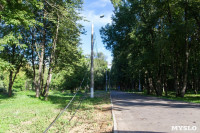 В Баташевском саду из-за непогоды упали вековые деревья, Фото: 12