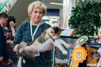 Выставка кошек "Конфетти", Фото: 32
