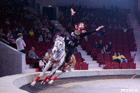 Звезды манежа в цирке, Фото: 8