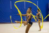 В Туле стартовало первенство Центрального федерального округа по художественной гимнастике, Фото: 42