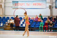 Соревнования по художественной гимнастике "Тульский сувенир", Фото: 55