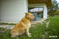 Эко-курорт «Ясно Поле», Фото: 1