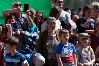 В Тульской области прошел фестиваль крапивы, Фото: 188
