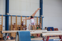 Тульские гимнастки готовятся к первенству России, Фото: 55