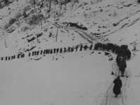 Русские солдатыобеспечивают коммуникации австрийских горных стрелков в  Доломитовых Альпах., Фото: 21