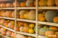 Эко-курорт «Ясно Поле», Фото: 35