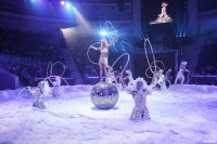 Шоу Гии Эрадзе «5 континентов» в Тульском цирке: феерия уже началась!, Фото: 54