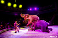 Цирк Инди Ра, Фото: 70