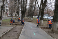 Вдоль веломаршрута «Лев Толстой» начали высаживать липы, Фото: 3