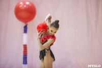 Всероссийский турнир по художественной гимнастике, Фото: 100