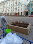 Липы на проспекте Ленина начали обрабатывать от вредителей, Фото: 5
