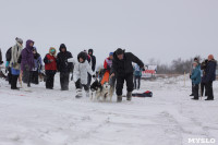Гонки на собачьих упряжках «Большой тур» на Куликовом поле, Фото: 164