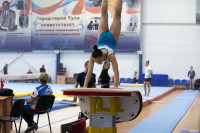 Всероссийские соревнования по спортивной гимнастике, Фото: 56