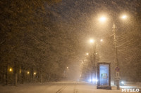 Зимняя сказка в Центральном парке, Фото: 8