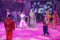 Тульским пенсионеркам на 8 Марта подарили поход в цирк, Фото: 39