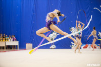 Соревнования по художественной гимнастике на призы благотворительного фонда «Земляки», Фото: 198