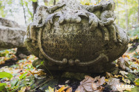 Всехсвятское кладбище, Фото: 180