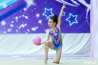 Тула провела крупный турнир по художественной гимнастике, Фото: 179