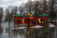 В Туле затопило Баташевский сад, Фото: 33